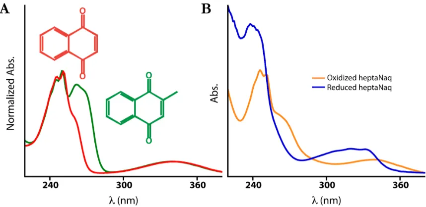 Figure 2.9. 
   Normalized absorbance spectra of 1,4-naphthoquinone (red) and 2-methyl-1,4-naphthoquinone (green) in 25 mM KPi, 100 mM KCl, pH 8.0 (A) and oxidized (orange) and borohydride reduced (blue) heptaNaq in 20 mM Pipes, 100 mM KCl, pH 6.57
