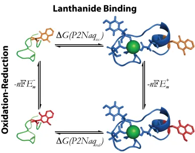 Figure 3.3. The lanthanide binding coupled electrochemistry of P2Naq  
  