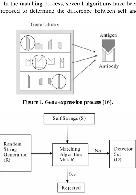 Figure 1. Gene expression process [16]. 