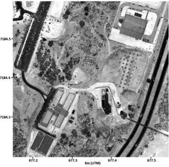 Figure 4. DTM of the study area. 