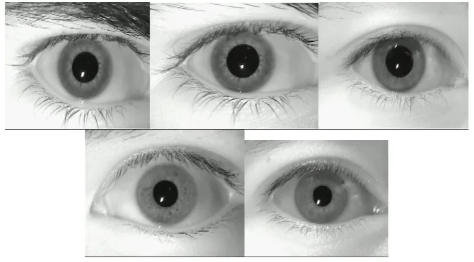 Fig. 4. Expiremental Images 