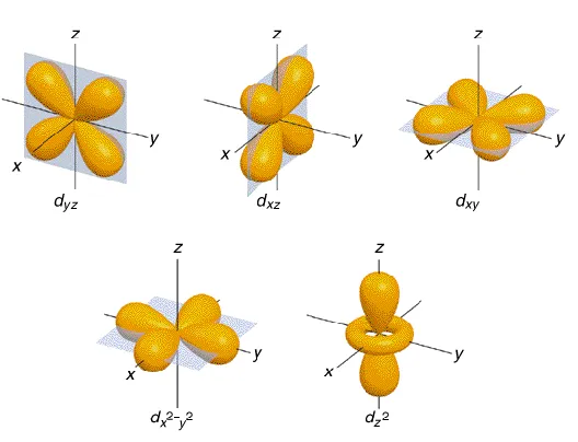 Figure 2-3 Angular component of the manganese ionic orbitals in octahedral crystal field