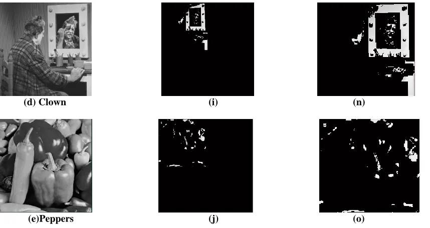 Figure 1 (a)-(e) Original Images,   (f)-(j) Segmented images using threshold concept,    (k)-(o) Segmented images using k-means clustering concept                                                                                                                      