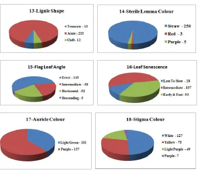Fig. 1. Frequency distribution for nineteen qualitative traits in landrace genotypes of rice evaluated    