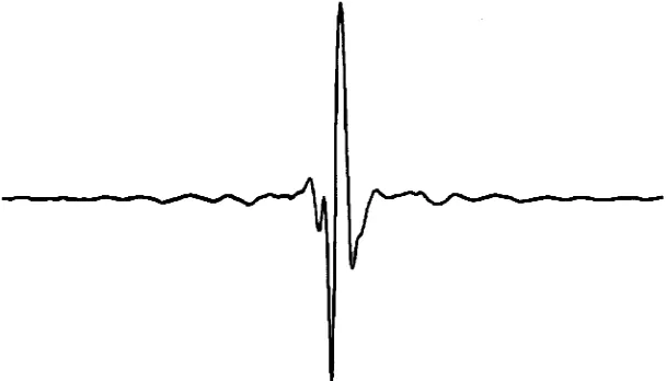 Figure 2A typical interferogram. Courtesy of Nicolet Inc., Madison, Wisconsin, USA.