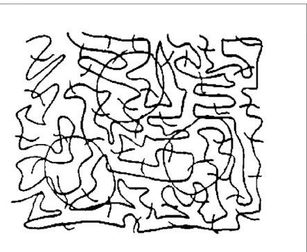 Figure 3.1 – Shashua & Ullman image.  