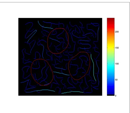 Figure 3.3 – Threshold at 45% of curvature range.  