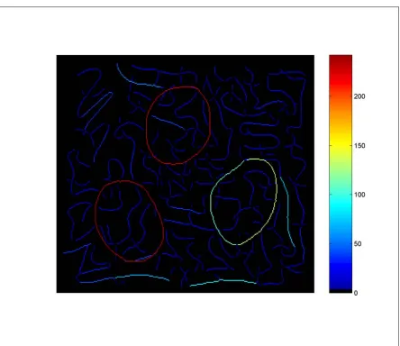 Figure 3.4 – Threshold at 35% of curvature range.  