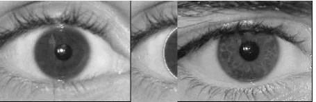 Figure 2. Iris Image 1                   Figure 3. Iris Image 2Figure 4. localisation of iris image1   Figure 5