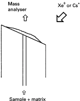 Figure 2CF-FAB probe tip.