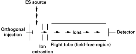 Figure 6Schematic of a time-of-fight mass analyser with anorthogonal ESI source.