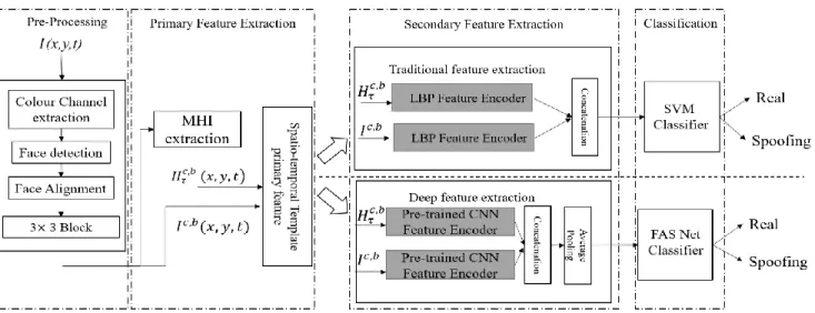 Figure 1. Experimental workflow  
