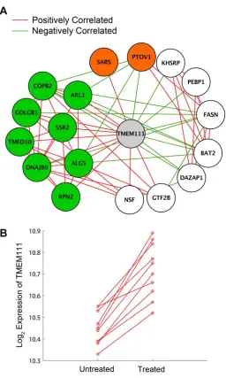 Figure 1.4.grey) and its 17 direct neighbors.  Genes colored in green are known to function in the secretory pathway or the endoplasmic reticulum based on Gene Ontology annotations