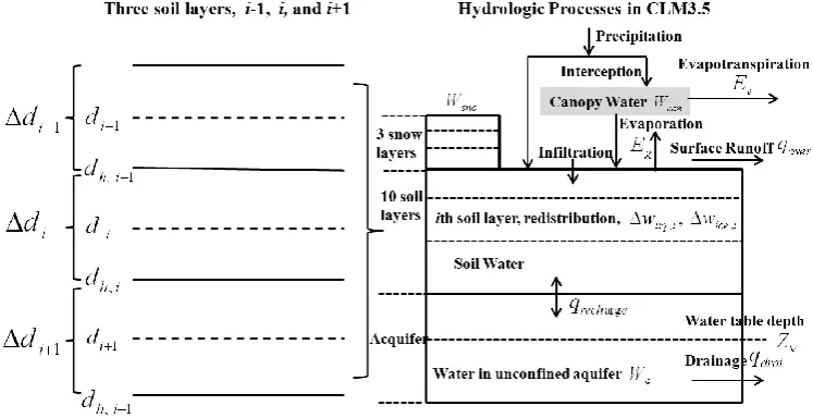 Fig. 1. Hydrological process simulated by CLM3.5 (right) and soil-moisture layer formation in CLM3.5 (left).683 Fig.1