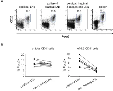 Figure 3-5 6.5+CD4+CD25+Foxp3+ cells are enriched in the popliteal LNs of TS1xHACII mice (A) Foxp3 and CD25 expression in CD4+ cells from joint-drainingand non-draining lymphoid organs in TS1xHACII mice