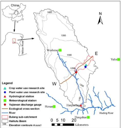Fig. 1. Location of the Hailiutu catchment and measurement sites.