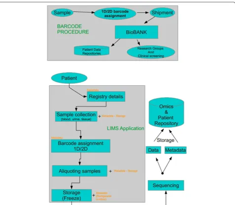Figure 2 Representative workflow of the typical procedure to be followed regarding the sample biobanking.includes sample tracking by electronic system, as well as integration of patients clinical characteristics and demographic data