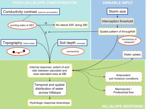Fig. 12.Fig. 12. Conceptual model of hillslope behaviour (extended from Hopp and McDonnell (2009))with SBI the soil-bedrock interface