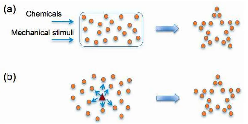 Figure 2.2: Controlling collective behavior of cells. (a) Using a global signal and/or phys-ical limitations