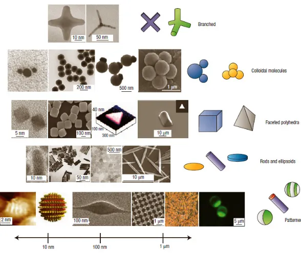 Figure 1.2: Representative examples of recently synthesized anisotropic colloids.  Figure is taken from ref