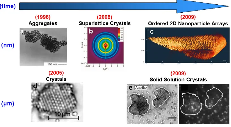 Figure 1.6:  The investigation of fundamental processes for nanofabrication through DNA-functionalized colloids