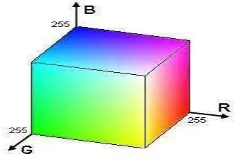 Figure 1. HSI Model 