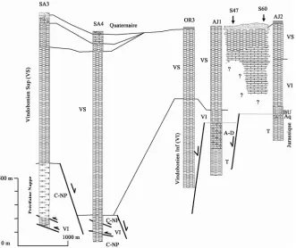 Figure 7. North South geological and geoelectric sections. 