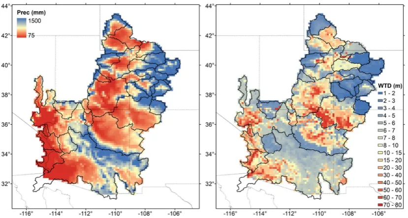 Fig. 2. Average annual precipitation over water years 1950–2008 (left) and equilibrium water table depth as simulated by SIMGM (right).