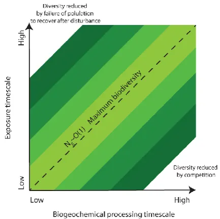 Fig. 6. The relationship between NE and biodiversity. This is likelyto hold true for microbial diversity as well as landscape-scale bio-diversity