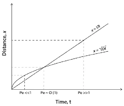 Fig. 1. The relationship between characteristic length,processes dominate (Regime II); whenlength and timescales are set where the advection and diffusive linestadvective processes dominate (Regime I); under x, and time,, scales under varying Peclet number
