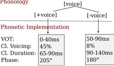 Figure 4.1: A sketch of the phonetic implementation of [voice] in English, including the dimensionsVOT, closure voicing, and closure duration (see Chapter 2), and phase (see this section).