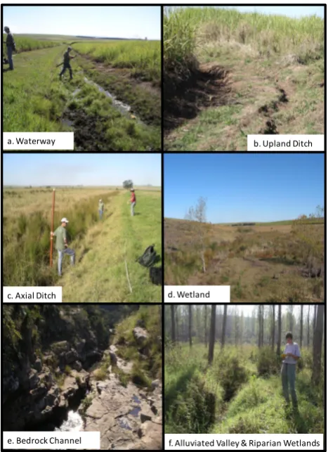 Fig. 6. Photographs of selected process zones types deﬁned withinthe Mkabela Catchment.