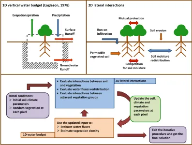 Fig. 2. Schematic of the 1-D vertical budget model and the 2-D lateral interactions with ﬂowchart of the simulation procedure of the soil–climate–vegetation system.