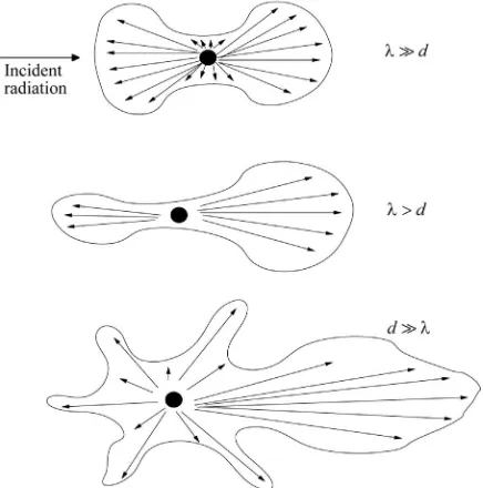 Figure 1. Scattering of an incident radiation (I0) [4]. 