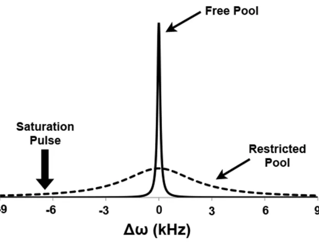Figure 1-8. Absorption spectra of the restricted pool proton spins (dashed line) and the free water pool proton spins (solid line)
