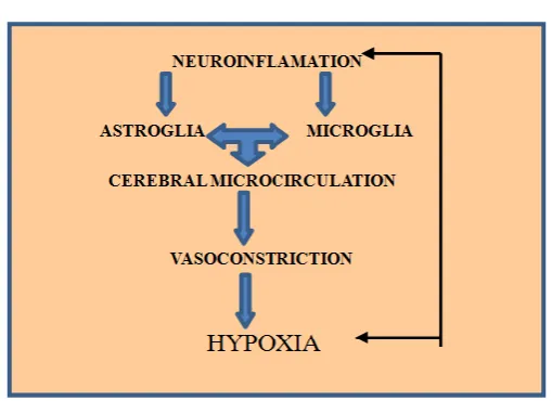Table 4. Supposed mechanisms of  cerebral hypoperfusion-hypoxia in the case of ASD  