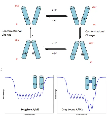 Figure 1. 6 | Representation of A/M2 ensemble and conformation selection by A/M2 inhibitors