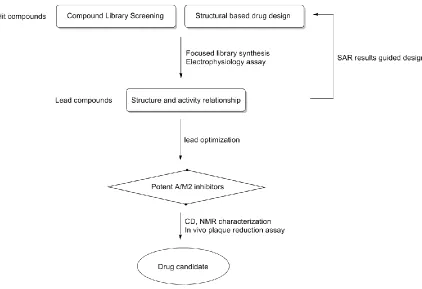 Figure 1. 17 | A/M2 inhibitor discovery scheme. 