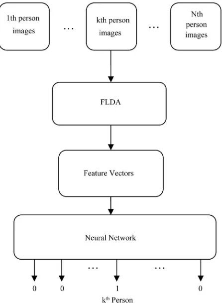 Figure 1. Architecture of FFNN for classification. 