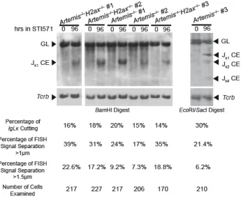 Figure 9.  Quantification of Igκ cutting following STI571 induction of the three 