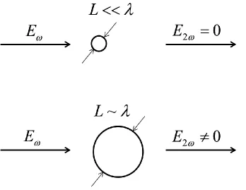 Figure 2.4: Schematic of SHG from two SH producing molecules adsorbed at 