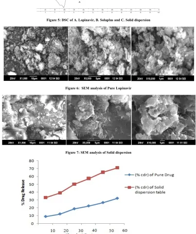Figure 7: SEM analysis of Solid dispersion 