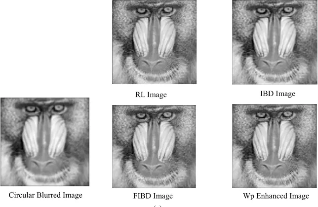 Figure 6. The blurring and deconvolved images. 