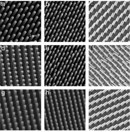 Figure 4.3 SEM images of different hydrogel pillar arrays. (a-c) PHEMA, (d-f) PHEMA-