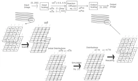 Figure 2. A schematic showing of the diagram of numerical calculations. 
