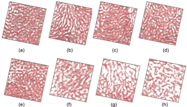 Figure 4. An example of 3D segmentation of sinusoidal network patterns of HFC6w. (a), δ* = 1.35