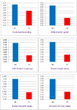 Fig. 1. Normal paddy and normal rice 