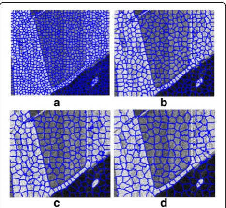 Fig. 6 The superpixels generated with different parameters.p a a = 7, = 3. b a = 11, p = 5