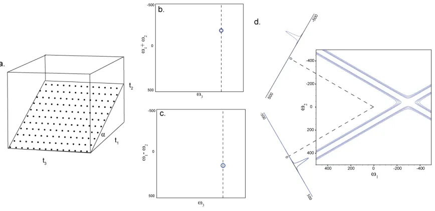 Figure 2.4 Schematic of the projection reconstruction approach to NMR. Radial sampling is use to sample a 