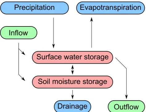 Fig. 3. Wetland water balance as simulated by the DWES. The greenboxes indicate horizontal water ﬂows, the blue ones indicate verticalwater ﬂows, and the red ones indicate water storages